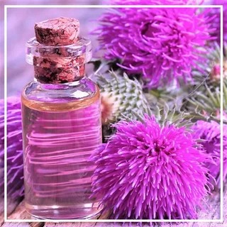 عرق خار مریم در طب سنتی تهیه شده از گیاه خالص